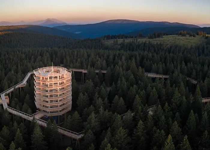 Apartma Svizec Rogla Zrece