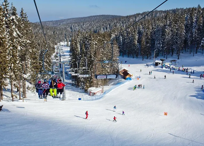 Apartma Svizec Rogla * Zreče